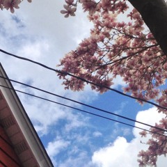 A Year Spent Healing-Small Wonder