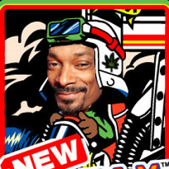 Snoop Rally XXX