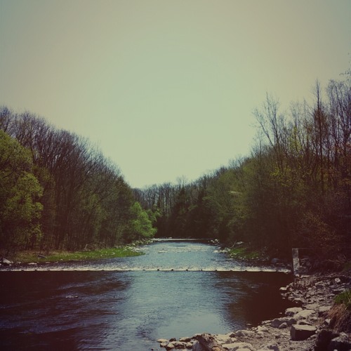 catch me remix, weaverbeats, Top Cats 15