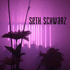 SETH SCHWARZ @ Kopenhagen // KB18
