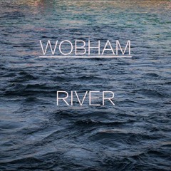 Wobham - River (Original Mix)
