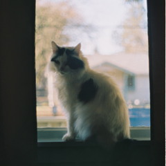 Elliott (All Starry Eyed)