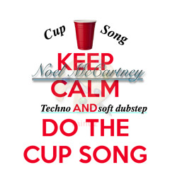 Pitch Perfect- The Cup Song (soft dubstep)