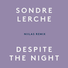 Despite The Night (Niilas remix)