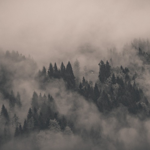 7UBO - Furia