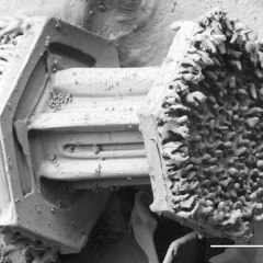 Amplifire boosted Recto & Cornford