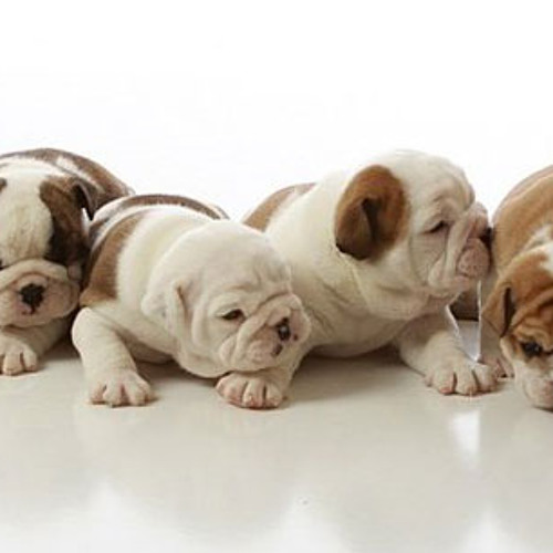 ☆☆☆☆☆☆☆☆