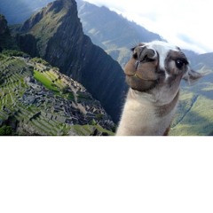 150508 Machu Picchu