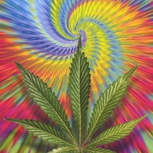 Yotikk - Marijuana