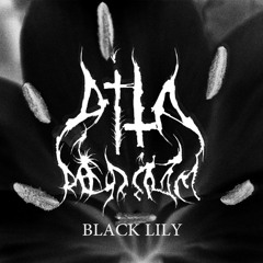 DITA REDRUM - BLACK LILY