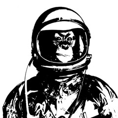 Space Monkey