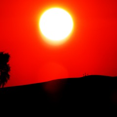 Will Calls - Grizzly Bear Feat. Alex'N (Diplo Remix)