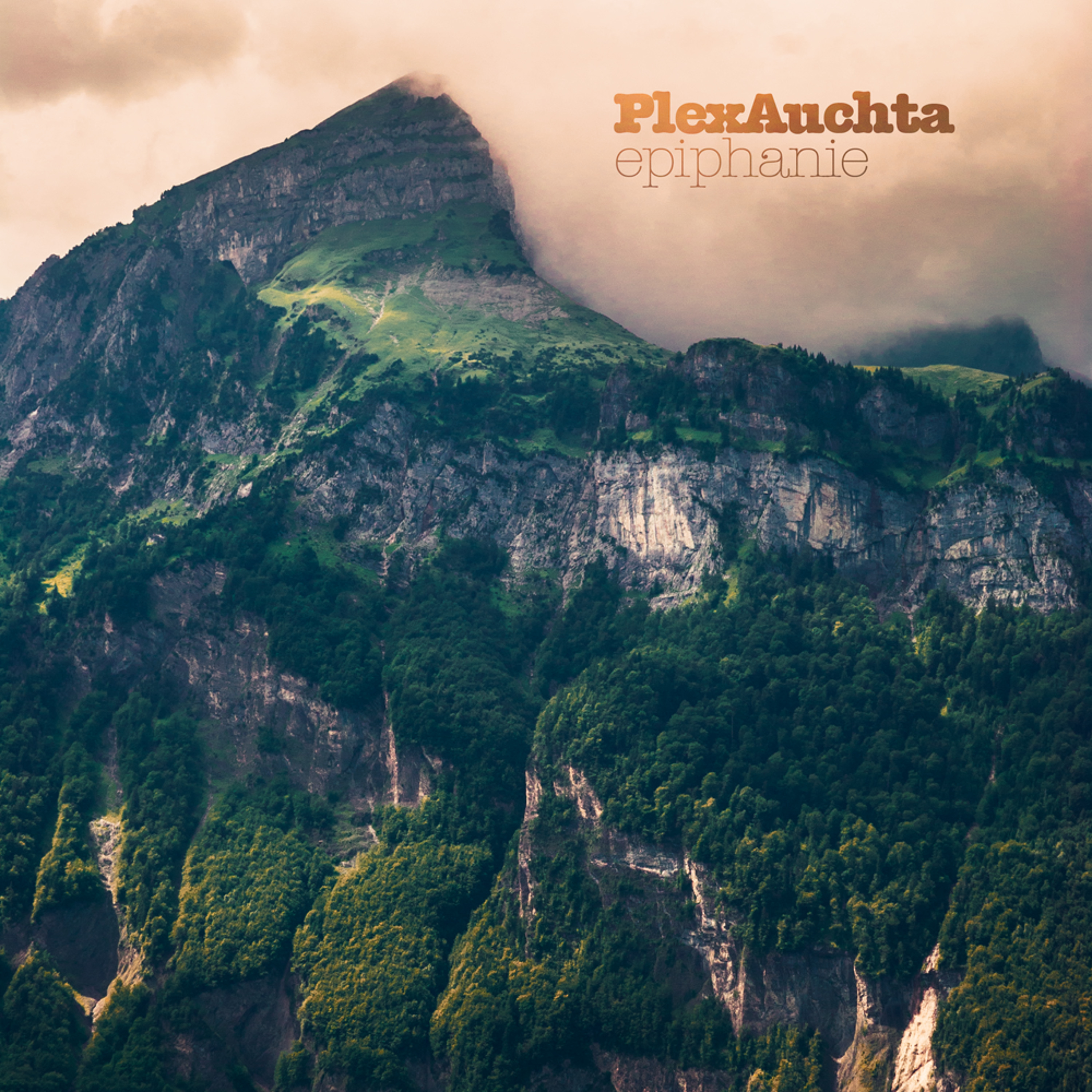 Plex Auchta