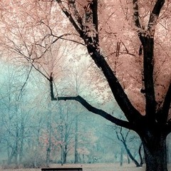 live at public works (zero) w/ mira - april 2015