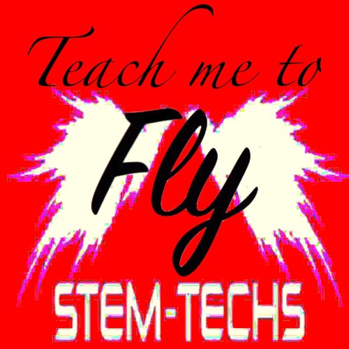 Teach me to fly by stem techs free download on toneden