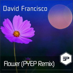 David Francisco - Flower (PYEP Remix)