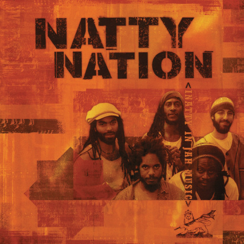 Rasta Evolution (Scattershot Mix)