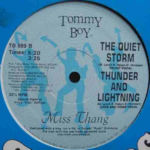 Stream Miss Thang Thunder And Lightning (Balegatzzo Remix) by Tiago