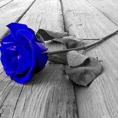 Promise (raw freestyle)(Ciara~remix)