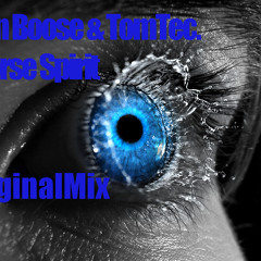 Tomtec. & Leon Boose Worse Spirit (Origianl Mix)TT. Master*FREE DL*