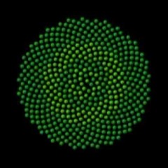 Constructor - FraggleBasher (Nullgrad RMX)
