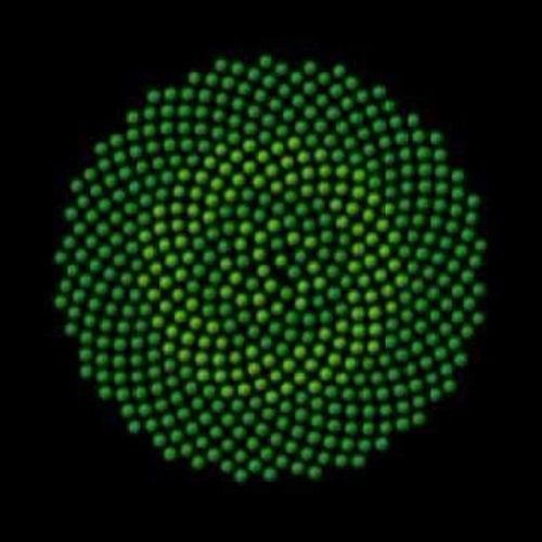 Constructor - FraggleBasher (Nullgrad RMX)
