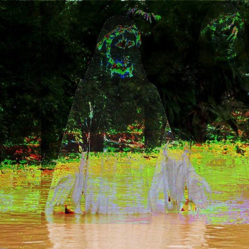 Shimmer