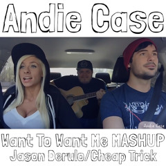 Jason Derulo / Cheap Trick - Want To Want Me MASHUP (Car Cover)