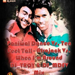 Paniwal Dance Vs. Ten Feet Tall - Afrojack Vs When I'm Around DJ_TROY & DJ_MDEV Mix