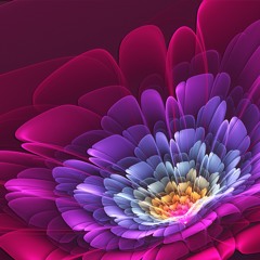 KD-ONE -  Full Bloom