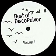 DiscoPulver - Boogie Town (OriginalMix)