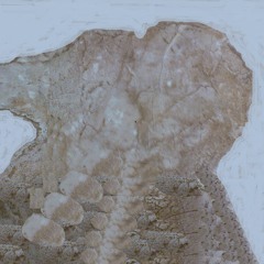 Flux Capa - Simbiosis