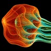 Psychedelic Full On Goa Morning Progressive Trance Set 2012 - Dj Amnesic Mix DJ mix artwork - Electronic music tracklist cover image