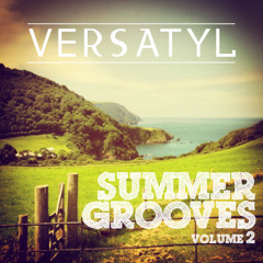 Summer Grooves Vol. 2