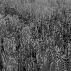 Nowhere to Park a Fucking Car