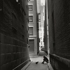 NY Downtown, 6th Alley