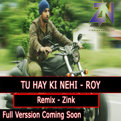 Roy - Tu Hay Ki Nehi  - (Zink Remix)- Demo
