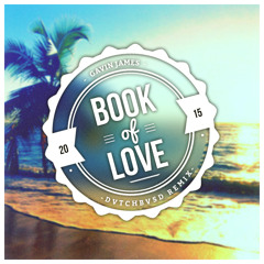 Gavin James - Book Of Love (DVTCHBVSD Remix) Free Download