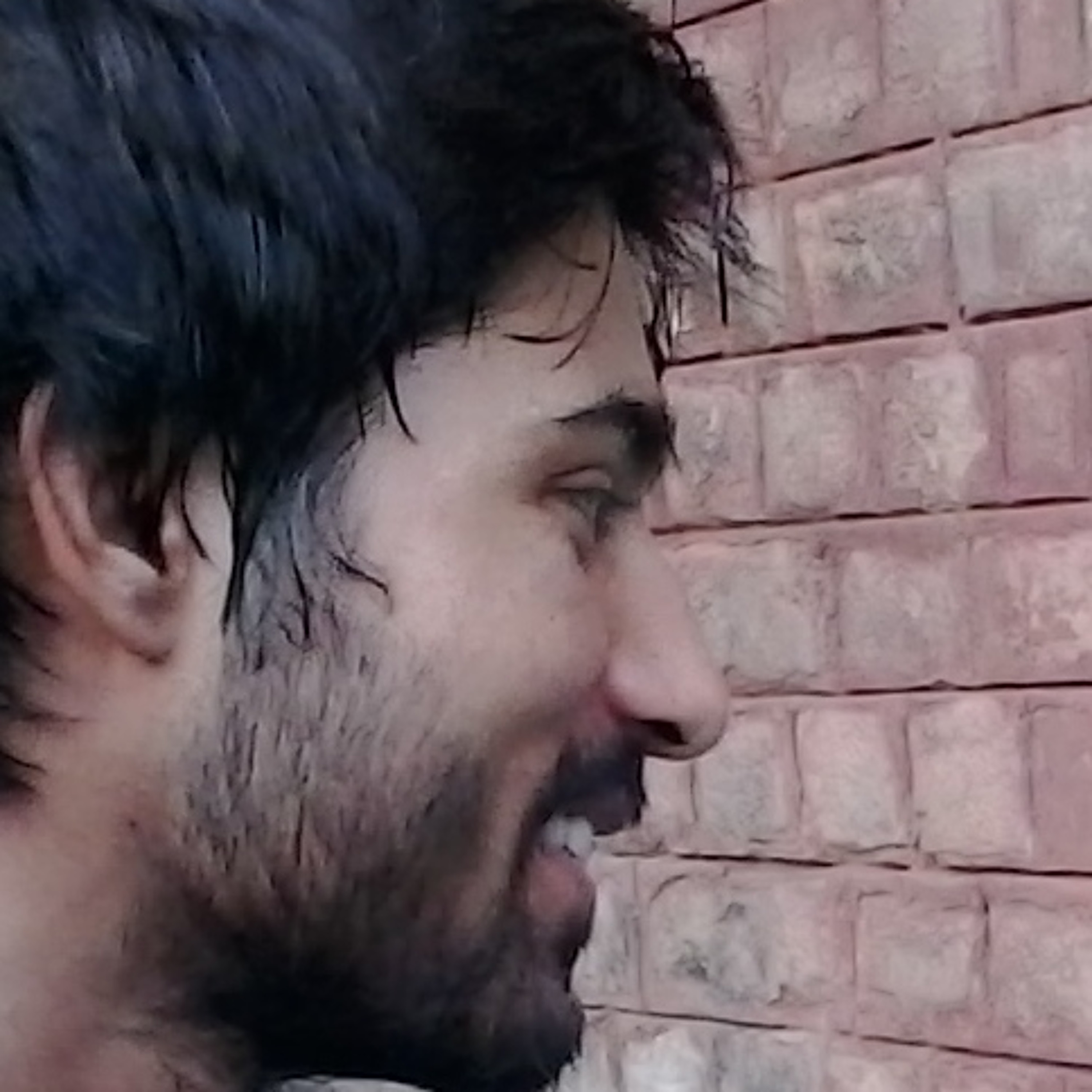 Sheharyarteetu