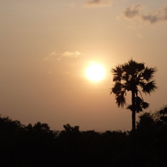 One Night - Bansuri Sansula and Shruti Box