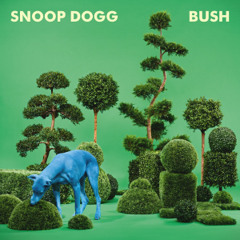 I Knew That Album Bush - Snoop Dogg