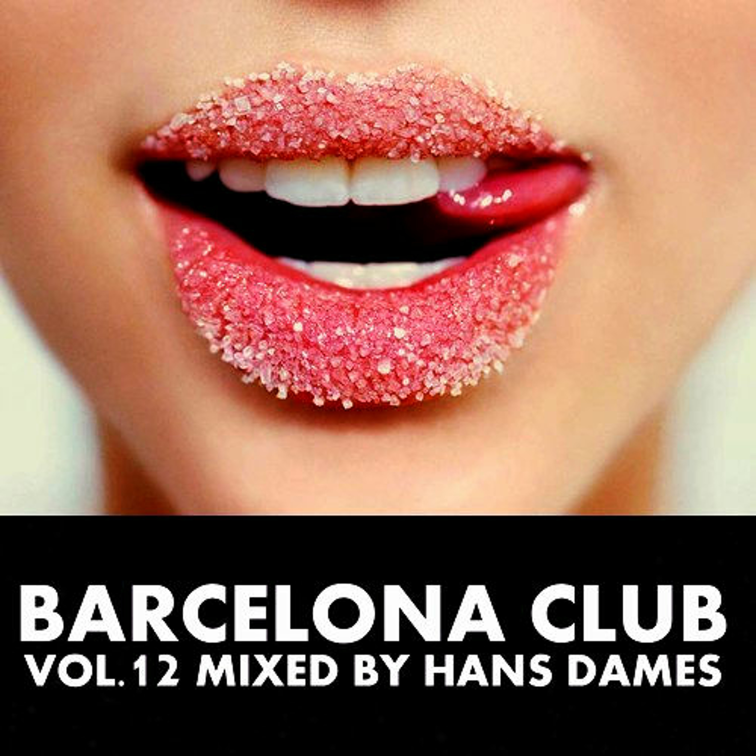 Barcelona Club 2013 mixed by Hans Dames Vol.12 episode artwork