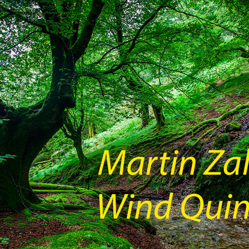 Wind quintet IV