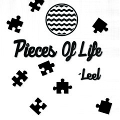 Pieces Of Life
