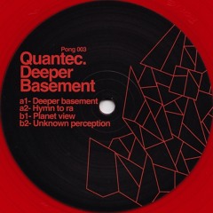 Quantec - Unknown Perception // Pong Musiq // 12"Ep //  Pong003