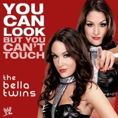 WWE: You Can Look (But You Can't Touch) [Bella Twins]