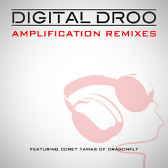 Amplification Remixes