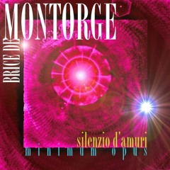 SILENZIO D'AMURI Version 3.0 Radio Edit