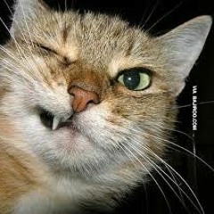 Bailey & Watkins B2B