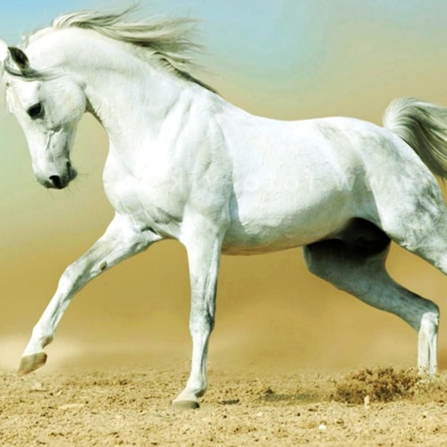 Of Monsters And Men - Mountain Sound (MF Jonez Remix)